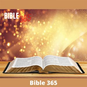 Bible 365